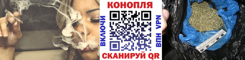 Шишки марихуана семена  МЕГА как зайти  Сальск 